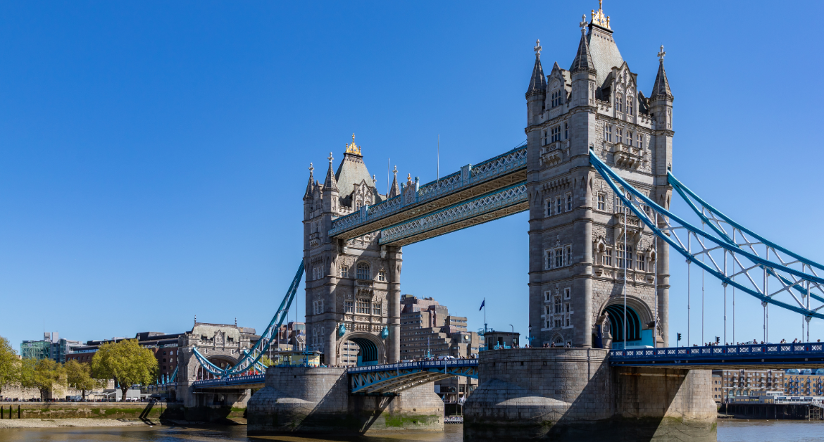 Pathway Programs for Business Management Your Bridge to University Success