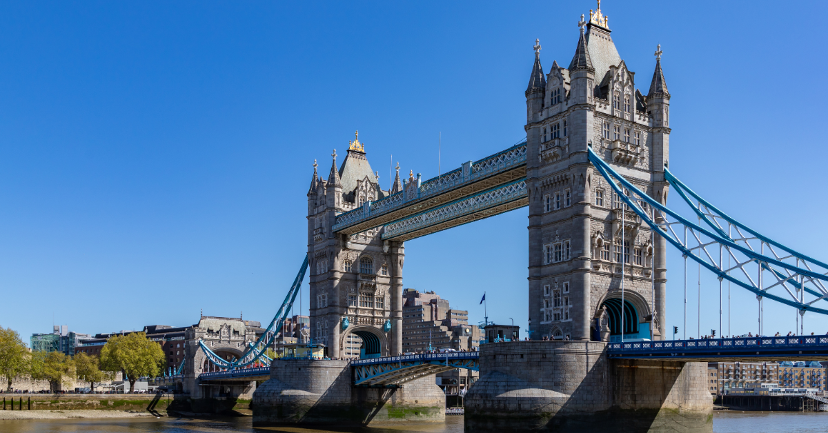 Pathway Programs for Business Management Your Bridge to University Success